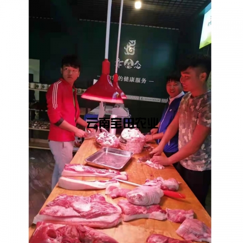 彜生态土豬肉