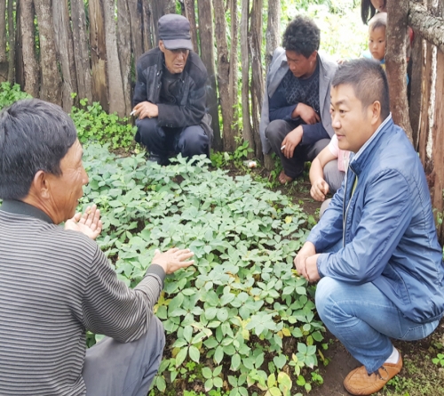 雲南寶田農業總經理(lǐ)和種植戶交流
